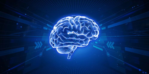 區(qū)塊鏈技術(shù) 從開發(fā)到應(yīng)用的完整解決方案與技術(shù)服務(wù)